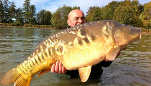 A carp from Jonchery, Nov 2012