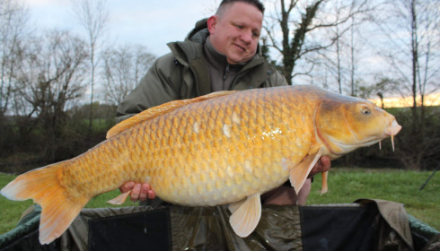 A carp from Jonchery, Apr 2021