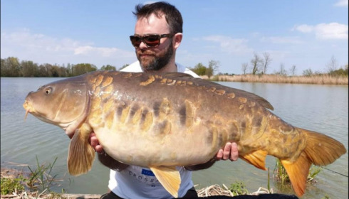 A carp from Jonchery, Apr 2019