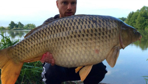 A carp from Jonchery, Jun 2014