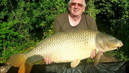 A carp from Jonchery, Jul 2019