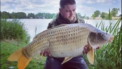 A carp from Jonchery, May 2019