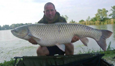 A carp from Jonchery, May 2014