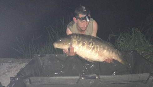 A carp from Jonchery, Carl Smith, Sep 2016