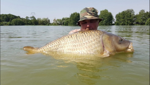 A carp from Jonchery, Jul 2019