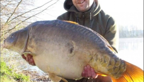 A carp from Jonchery, Apr 2019