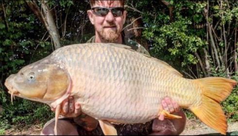 A carp from Jonchery, Jul 2019