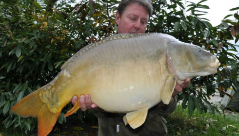 A carp from Jonchery, Swim 1, May 2014