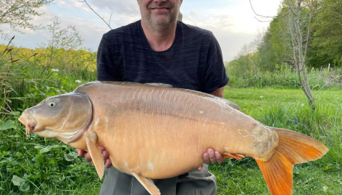 A carp from Jonchery, May 2022