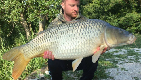 A carp from Jonchery, Jun 2014