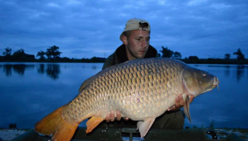A carp from Jonchery, Aug 2014