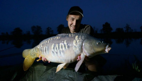 A carp from Jonchery, Oct 2014