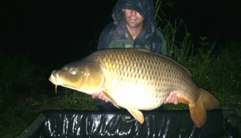 A carp from Jonchery, Jul 2014