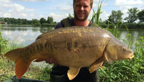 A carp from Jonchery, Jul 2014