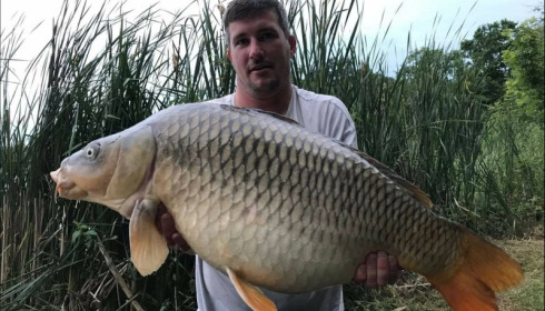 A carp from Jonchery, Jun 2018