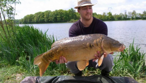 A carp from Jonchery, May 2013