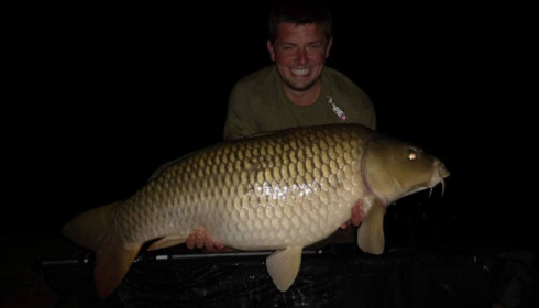 A carp from Jonchery, Sep 2018