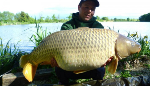 A carp from Jonchery, May 2014