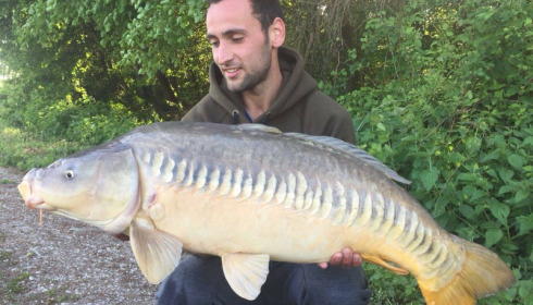 A carp from Jonchery, May 2018
