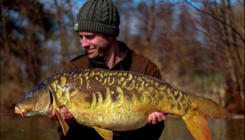 A carp from Jonchery, Mar 2019
