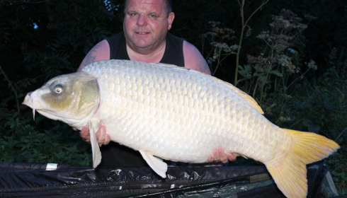 A carp from Jonchery, Sep 2017