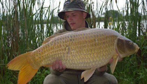 A carp from Jonchery, May 2018