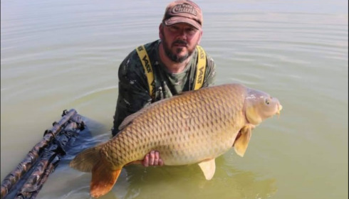 A carp from Jonchery, Apr 2019