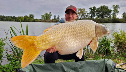 A carp from Jonchery, Oct 2021