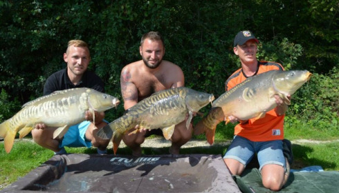 A carp from Jonchery, Aug 2014