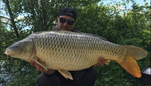 A carp from Jonchery, May 2019