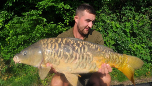 A carp from Jonchery, Jun 2018