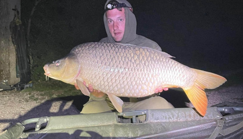A carp from Jonchery, Jul 2023
