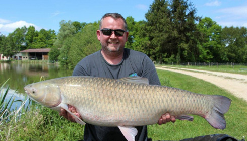 A carp from Jonchery, May 2017
