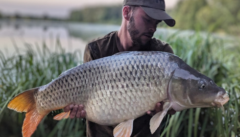 A fish from Jonchery, Jul 2023