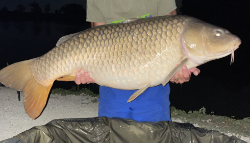A 53 lb 4 oz fish from Jonchery, Common, Aug 2022