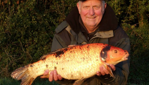 A carp from Jonchery, Oct 2014