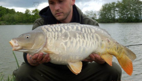 A carp from Jonchery, Apr 2014