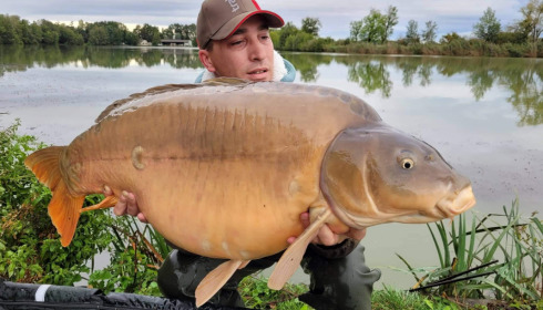 A carp from Jonchery, Oct 2021