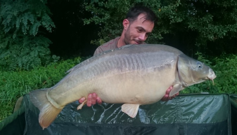 A carp from Jonchery, Sep 2017