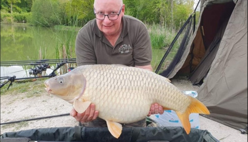 A carp from Jonchery, May 2019