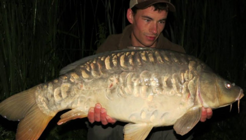 A carp from Jonchery, Jun 2013