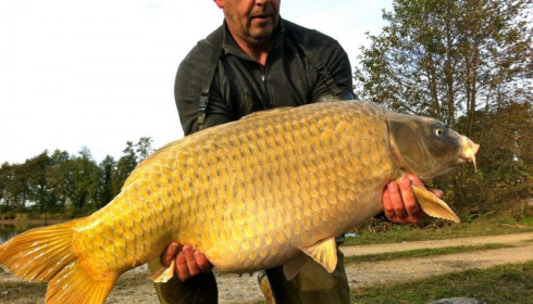 A carp from Jonchery, Nov 2012