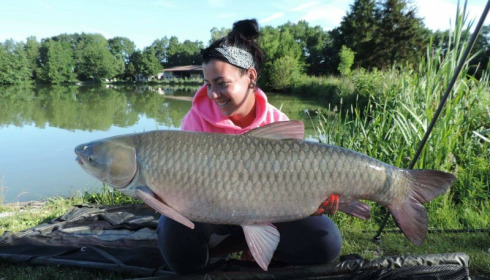 A carp from Jonchery, Jun 2017