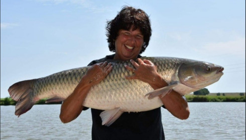 A carp from Jonchery, Jun 2019