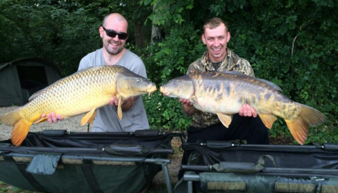 A carp from Jonchery, May 2014