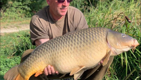 A carp from Jonchery, Oct 2018