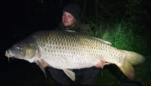 A carp from Jonchery, May 2019
