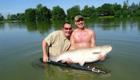 A carp from Jonchery, Jul 2017