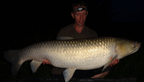 A 53 lb grass carp from Jonchery, Steve , Aug 2019