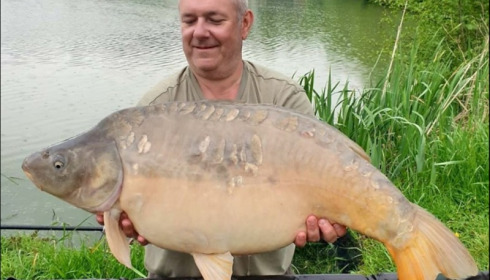 A carp from Jonchery, May 2019